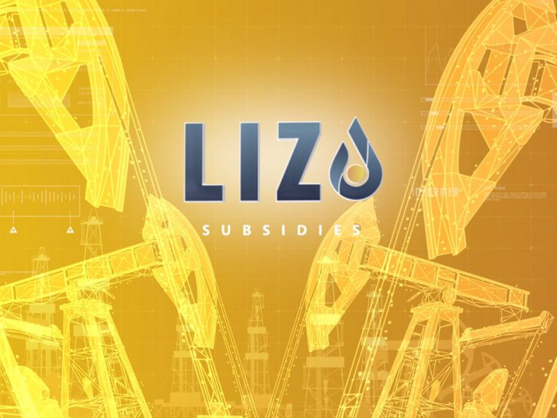 Lizo | Digital transformation in the oil & gas industry: seamless scaling and automatic updating
