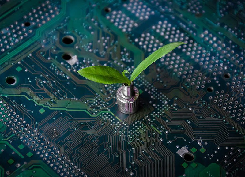 4 ways AI helps business protect the environment