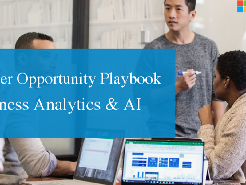 Partner Opportunity Playbook: Business Analytics and AI